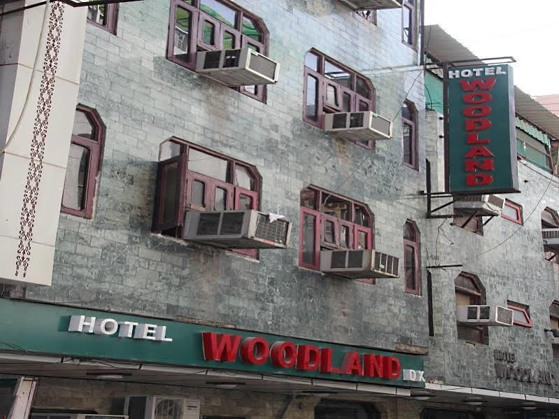 Hotel Woodland Deluxe Nova Deli Exterior foto